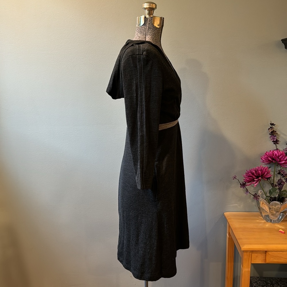 Ibex Merino Hooded Dress - Picture 5 of 12